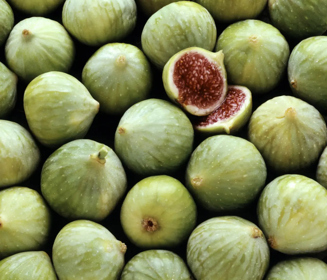 Articoli da leggere
